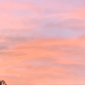 Meet your Posher, Reagan